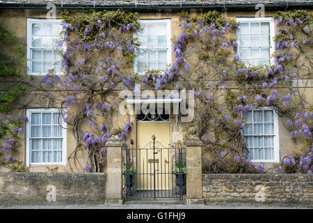 Glycine sur une maison en pierre de Cotswold, Broadway, Cotswolds, Worcestershire, Angleterre. Banque D'Images