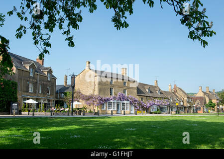 Glycine sur une pierre de Cotswold boutique / chambre à partir d'une distance à la lumière du soleil du soir. Broadway, Cotswolds, Worcestershire, Angleterre. Banque D'Images