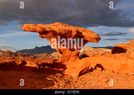 Peu de Finlande près de Mesquite, Nevada, érodés mushroom rock formation devient orange au coucher du soleil avec les nuages de tempête Banque D'Images