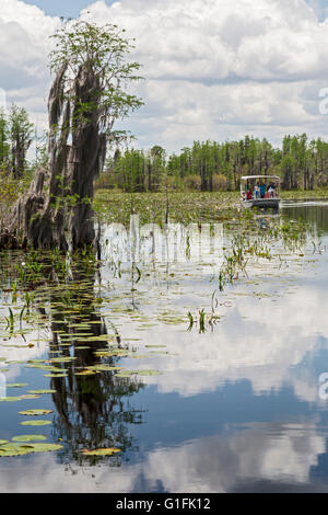 Folkston, Georgia - un bateau d'excursion exploités par Okefenokee Adventures transporte les visiteurs à travers l'Okefenokee Swamp. Banque D'Images