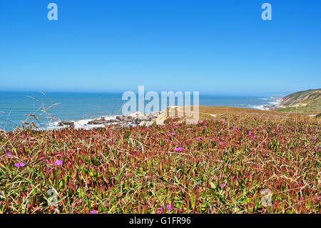 Californie, USA : vue panoramique sur l'océan Pacifique dans la région de Bodega Bay, connu pour être le cadre de film les oiseaux d'Alfred Hitchcock Banque D'Images