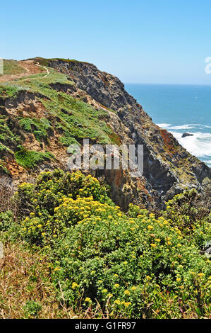 Californie, USA : vue panoramique sur l'océan Pacifique dans la région de Bodega Bay, connu pour être le cadre de film les oiseaux d'Alfred Hitchcock Banque D'Images