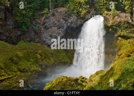 Sahalie Falls sur la rivière McKenzie, forêt nationale de Willamette, des cascades, de l'Oregon. Banque D'Images