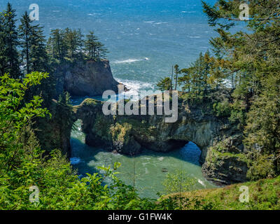 Les ponts naturels de vue, Samuel H. Boardman State Scenic Corridor, le sud de l'Oregon Coast. Banque D'Images