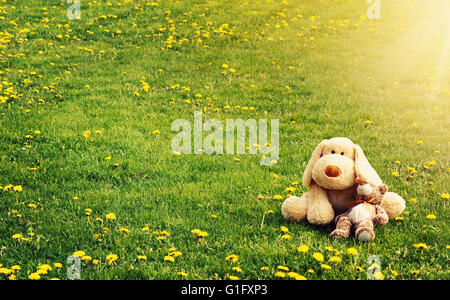 Plushtoys couché sur le champ de pissenlit Banque D'Images