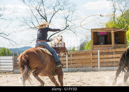 Jeune cowgirl avec chapeau équitation une belle peinture de cheval de course de barils événement à un rodéo dans Mitrov, République Tchèque Banque D'Images