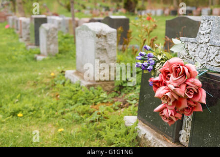 Des fleurs sur une pierre tombale dans un cimetière avec des centaines de pierres tombales dans l'arrière-plan Banque D'Images