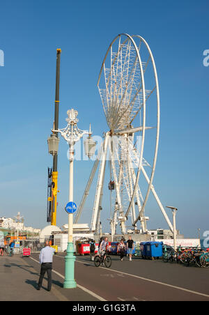 13 mai 2016, le front de mer de Brighton, UK : La roue de Brighton est en voie de démantèlement. Banque D'Images