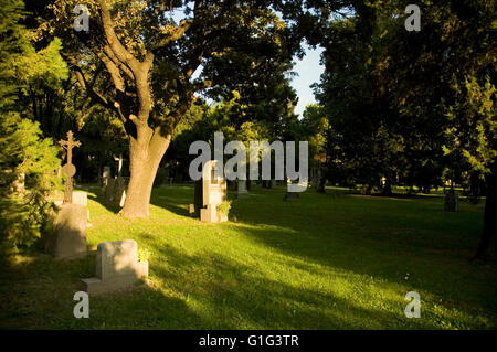 Cimetière religieux avec des arbres et l'herbe verte Banque D'Images