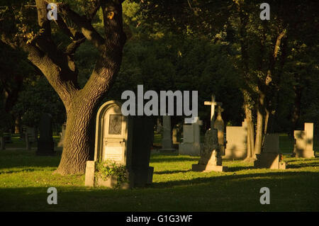 Cimetière religieux avec des arbres et l'herbe verte Banque D'Images