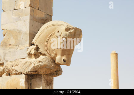 Les ruines de Persepolis, Iran Banque D'Images