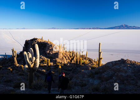 Les touristes en itinérance sur le sommet de l'Île Incahuasi au lever du soleil. Véritable panorama de l'Uyuni Salt Flat, parmi les plus importa Banque D'Images