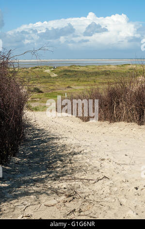 Sentier de sable avec des rameaux de saule des clôtures sur l'île de Borkum, Basse-Saxe, Allemagne. Banque D'Images