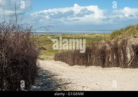 Sentier de sable avec des rameaux de saule des clôtures sur l'île de Borkum, Basse-Saxe, Allemagne. Banque D'Images