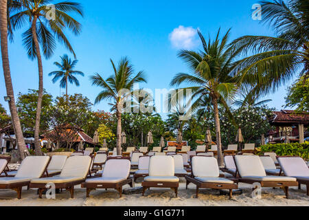 Transats sur la plage en attente de touristes, Chaweng Beach, Ko Samui, Thaïlande, Asie Banque D'Images