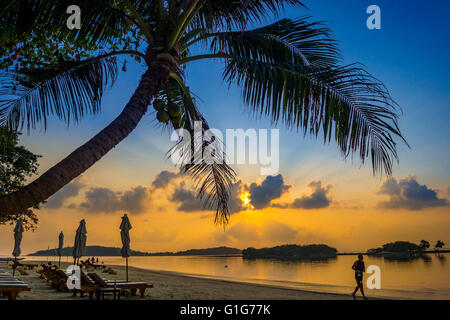 Transats sur la plage en attente de touristes, Chaweng Beach, Ko Samui, Thaïlande, Asie Banque D'Images