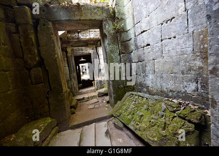 Preah Khan temple, Siem Reap, Cambodge Banque D'Images