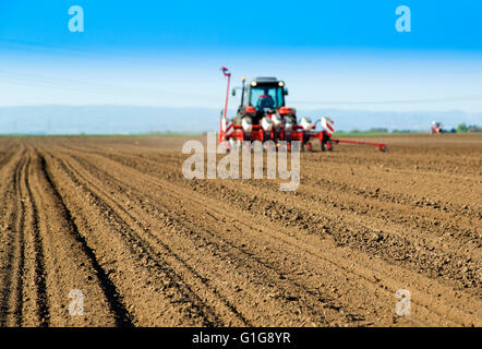 Agriculteur de semer du tracteur dans le champ des cultures de semences agricoles avec diffusion machine Banque D'Images