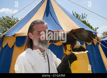 Robert Davis Chef Falconer, avec une exposition d'un un an Harris Hawk. Le groupe de reconstitution Historia Normannis ont organisé une manifestation médiévale du 12ème siècle avec les affichages dans le parc Coronation, Ormskirk, Lancashire, Royaume-Uni. L'événement avec la vie quotidienne au 12ème siècle avec des démonstrations de la cuisine médiévale, mode, affiche de l'époque médiévale de style médiéval, artisanat, activités et divertissements. Banque D'Images