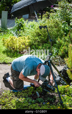 Photographe de la Nature Banque D'Images