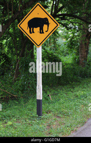 Panneau routier "Méfiez-vous des éléphants passant en Province Kanchanaburri, Thaïlande Banque D'Images