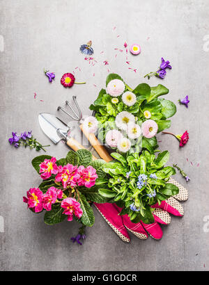 Outils de jardinage avec de jolies fleurs de jardin en pots sur fond de pierre, vue du dessus Banque D'Images