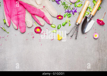 Outils de jardin , gants et de jolies fleurs, feuilles et plantes sur fond de béton, vue du dessus, frontière. Le Jardinage et la plantation de con Banque D'Images