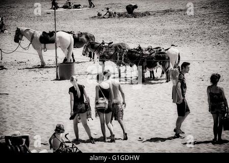 Les adultes et les enfants jouant sur le hêtre à Barry Island South Wales UK au cours de l'été 2013. Banque D'Images