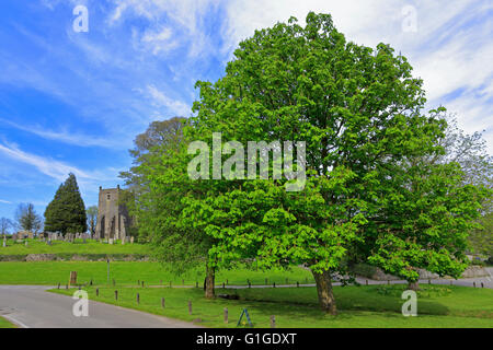 Village Green Tissington et St Mary's Church, parc national de Peak District, Derbyshire, Angleterre, Royaume-Uni. Banque D'Images