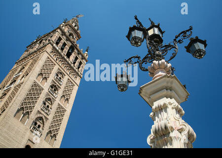 Célèbre belfry nommée Giralda de monument cathédrale catholique Sainte Marie de l'Voir, monument gothique public année 1507, Monde Herita Banque D'Images