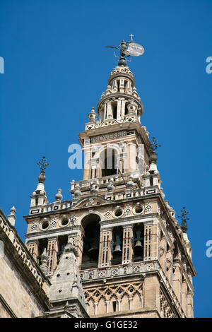 Célèbre belfry nommée Giralda et vane le Giraldillo, en vue cathédrale catholique de Sainte Marie de l'Voir, monument gothique Banque D'Images