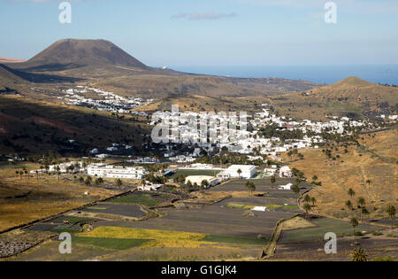 Vue sur des cactus et des maisons blanchies à la chaux à cône du volcan Monte Corona, village de Haria, Lanzarote, îles Canaries, Espagne Banque D'Images