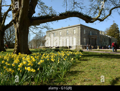 Arlington Court North Devon Accueil famille Chichester National Trust House et jardins jonquilles et l'ouest de l'avant Banque D'Images