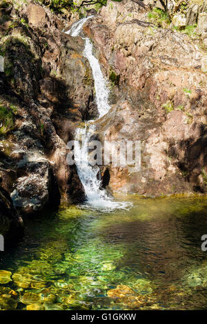 Afon y mcg cascade et des eaux cristallines de la piscine dans le parc national de Snowdonia. Craflwyn, Nantgwynant, Gwynedd, Pays de Galles, Royaume-Uni Banque D'Images