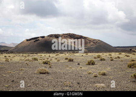 Paysage volcanique typique de Lanzarote, volcan el Cuervo, îles de Canaries, Espagne Banque D'Images