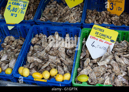 Les huîtres en vente dans le marché aux poissons, le port de Cancale, Bretagne, France, Europe Banque D'Images