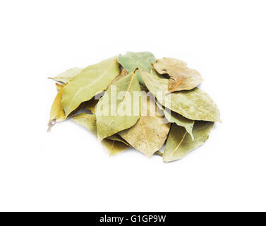 Herbes aromatiques séchées bay feuilles isolées Banque D'Images