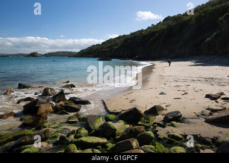 Mendier Un Fry plage, Locquirec, Finistère, Bretagne, France, Europe Banque D'Images