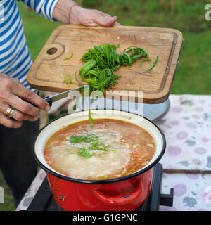 Woman Chopping Vegetables Banque D'Images