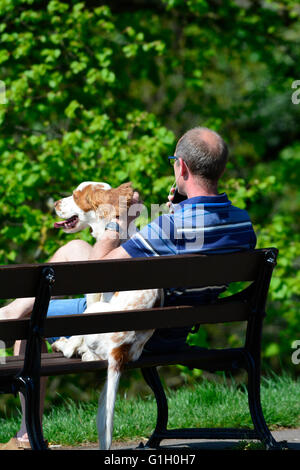 Bristol, Royaume-Uni. 15 mai, 2016. Météo britannique. Un jour très chaud à Brandon Hill Park dans la ville de Bristol. Belle façon de vous détendre avec votre téléphone portable dans la main et vous chien assis à côté de vous sur un banc de parc. ROBERT TIMONEY/Alamy Live News Banque D'Images