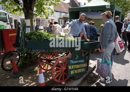 Alresford, UK. 15 mai, 2016. Bottes de cresson sur un vieux panier dans le centre-ville de Newcastle. Célébrer le 12e Festival de cresson dans ce Hampshire ville marchande. Banque D'Images