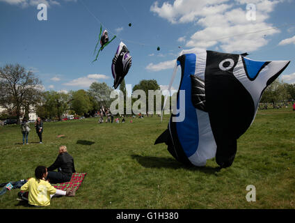 London UK.15 mai.2016 .Streatham Common ont célébré leur 18e Festival du cerf-volant , en présence de centaines de famille tor , qui viennent pour apprécier les cerfs-volants et de la belle saison, un gros ours en peluche n'a pas réussi à décoller comme le facteur vent était très faible mais cela n'a pas l'humidité les esprits comme beaucoup d'autres kites a pris à la sky's y compris des poissons crocodiles d'oiseaux et d'un Union Jack Flag kite en l'honneur de sa majesté. Le 90e anniversaire Quezada-Neiman@ Paul/Alamy Live News Banque D'Images