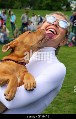 Londres, Royaume-Uni. 15 mai 2016.Rachel Riley, présentatrice TV sur compte à rebours, rencontre Gertie le Dogue de Bordeaux chiot tout en jugeant l'affaire tous les chiens Grand Hampstead Barkoff charité dog show sur Hampstead Heath à Londres, en Angleterre. Rachel dit : "Je suis venu pour la libre câlins' et non seulement a-t-elle obtenir ceux avec Gertie mais un bon peu de lèche aussi. Gertie est un chien de sauvetage qui était à la recherche d'une maison lors de l'événement qui a été exécuté par tous les chiens de sauvetage, peu importe qui et à placer les chiens dans Londres. Crédit : Paul Brown/Alamy Live News Banque D'Images