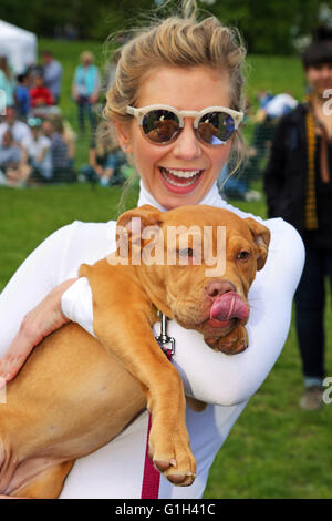 Londres, Royaume-Uni. 15 mai 2016.Rachel Riley, présentatrice TV sur compte à rebours, rencontre Gertie le Dogue de Bordeaux chiot tout en jugeant l'affaire tous les chiens Grand Hampstead Barkoff charité dog show sur Hampstead Heath à Londres, en Angleterre. Rachel dit : "Je suis venu pour la libre câlins' et non seulement a-t-elle obtenir ceux avec Gertie mais un bon peu de lèche aussi. Gertie est un chien de sauvetage qui était à la recherche d'une maison lors de l'événement qui a été exécuté par tous les chiens de sauvetage, peu importe qui et à placer les chiens dans Londres. Crédit : Paul Brown/Alamy Live News Banque D'Images