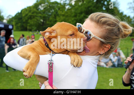 Londres, Royaume-Uni. 15 mai 2016.Rachel Riley, présentatrice TV sur compte à rebours, rencontre Gertie le Dogue de Bordeaux chiot tout en jugeant l'affaire tous les chiens Grand Hampstead Barkoff charité dog show sur Hampstead Heath à Londres, en Angleterre. Rachel dit : "Je suis venu pour la libre câlins' et non seulement a-t-elle obtenir ceux avec Gertie mais un bon peu de lèche aussi. Gertie est un chien de sauvetage qui était à la recherche d'une maison lors de l'événement qui a été exécuté par tous les chiens de sauvetage, peu importe qui et à placer les chiens dans Londres. Crédit : Paul Brown/Alamy Live News Banque D'Images