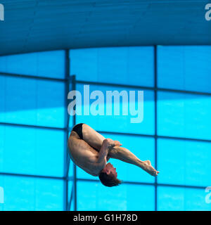 Centre aquatique, parc olympique, Londres, Royaume-Uni. Le 15 mai 2016. Brit Tom Daley durant son 3ème tour Armstand Retour 3 culbutes Pike plongée. Plus tard, il remporte l'or avec 570,50 points, devant Victor Minibaev de Russie avec 424,60 points et un deuxième, Nikita russe Shleikher avec 480,90 points à la LEN Championnats européens. Credit : Imageplotter News et Sports/Alamy Live News Banque D'Images