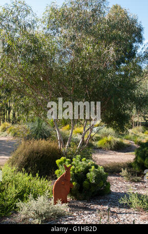 Parc d'Kuranga Pépinière indigènes à Mt Evelyn dans la Yarra Valley, Victoria, Australie Banque D'Images