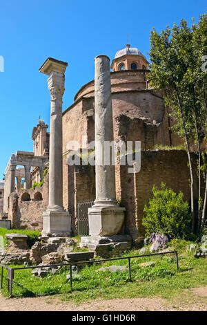 Le temple de Romulus (la Basilique Santi Cosma e Damiano) et l'église de San Lorenzo en Miranda, le Forum Romain, Rome, Italie Banque D'Images