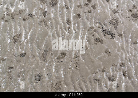 Gros plan du motif d'une plage de sable sale. Banque D'Images