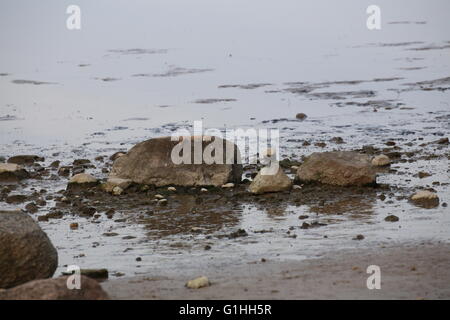 Couché dans l'eau reflétant des pierres. Banque D'Images